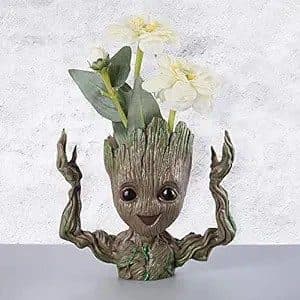 Hi-Fi Groot