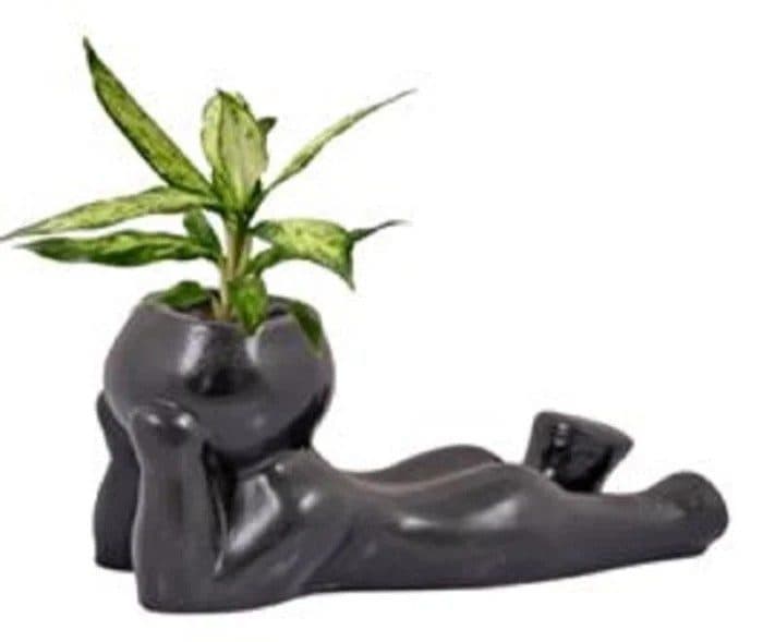Thinking Baby Planter 5