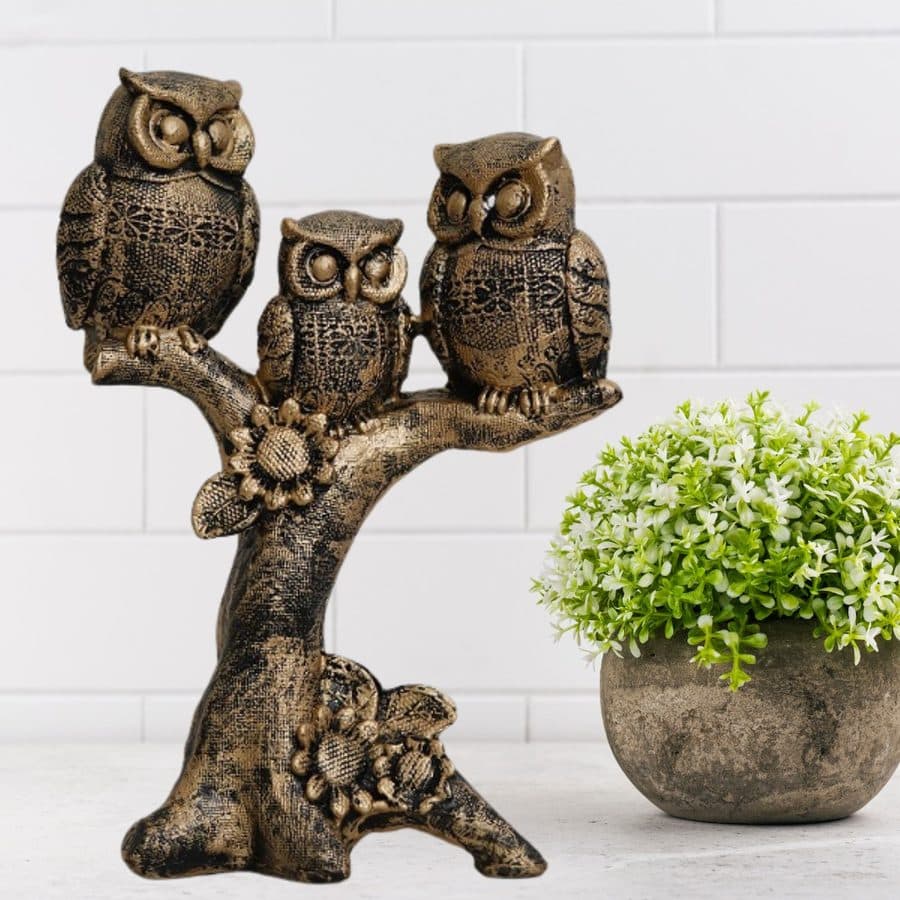 3 Owl On Long Bark