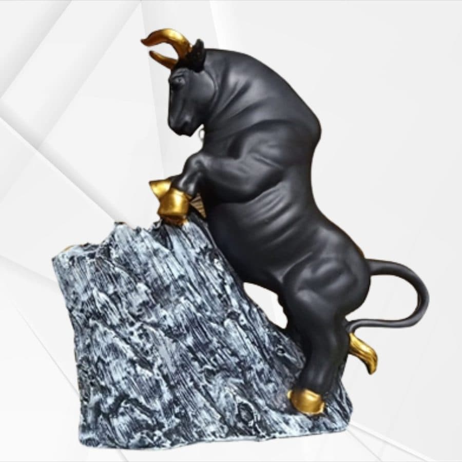 Bull On Rock