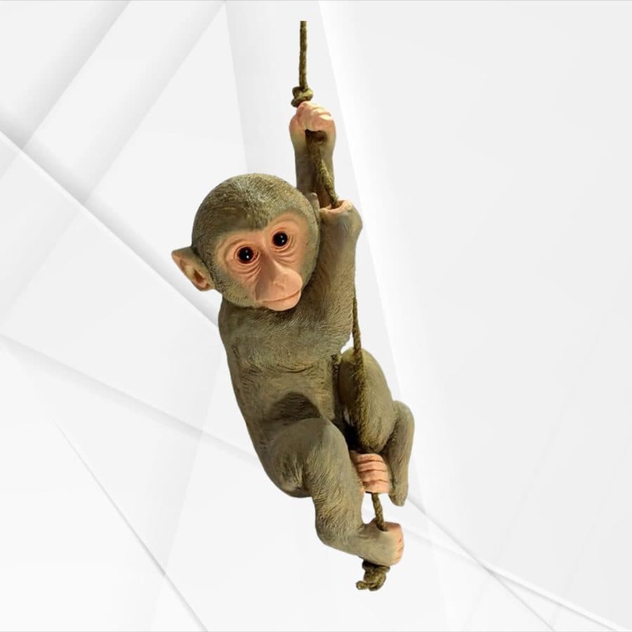 Hanging Monkey
