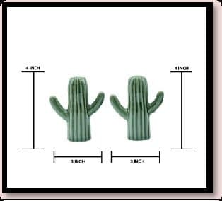 Ceramic Salt and Pepper Cactus Shape Without Thermacol