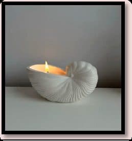 Ceramic Shell Shape T Light Holder Without Thermacol